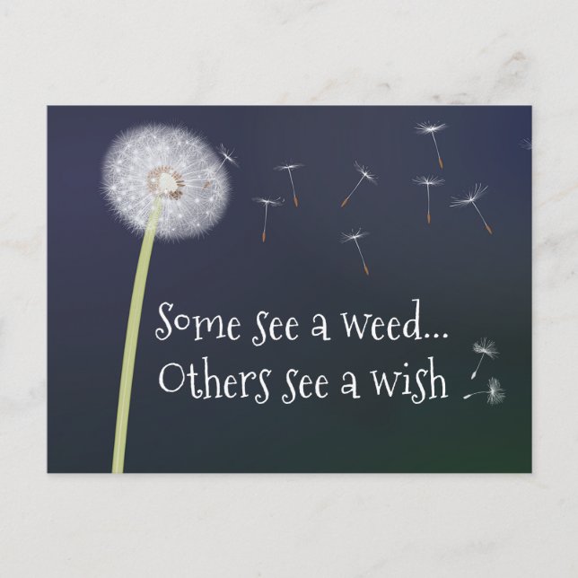 Dandelion Design Postcard (Front)