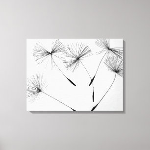 Dandelion Drawing Canvas