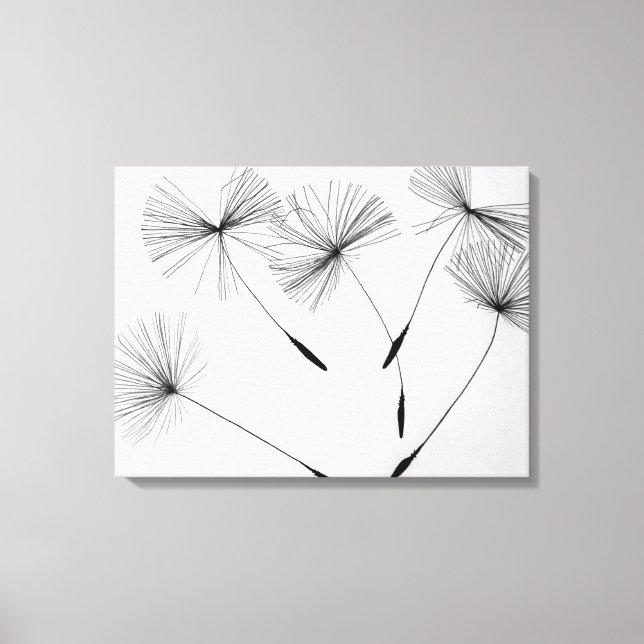 Dandelion Drawing Canvas (Front)