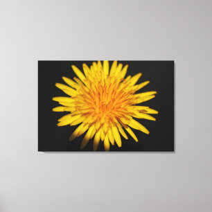 Dandelion Flower 36x24 (90x60cm) waccna Canvas Print
