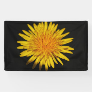 Dandelion Flower bnrcnm Banner