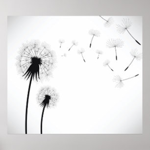 Dandelion Flower Poster