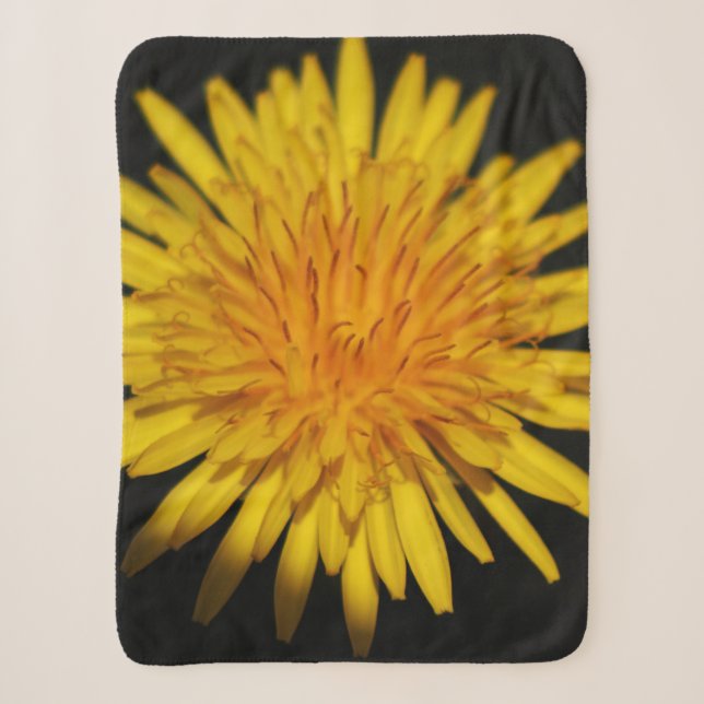 Dandelion Flower sbcnm Sherpa Blanket (Front)