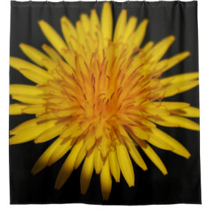 Dandelion Flower sccn