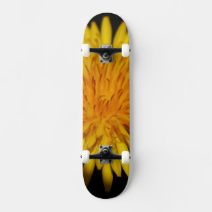 Dandelion Flower sdm Skateboard