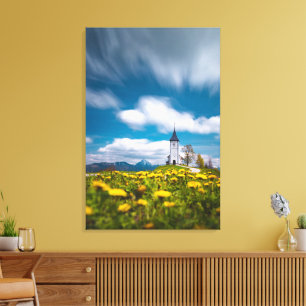 Dandelion flowers at church of st primus Jamnik Sl Canvas Print