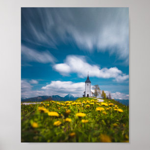 Dandelion flowers at church of st primus Jamnik Sl Poster