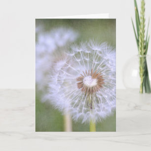 Dandelion Flowers Card