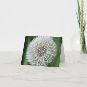 Dandelion Fluff Flower Photography  Note Card