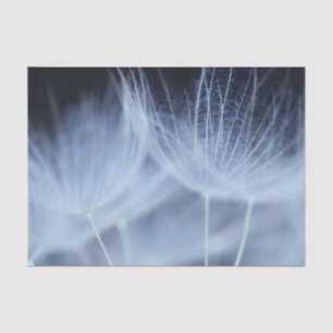 Dandelion Fluff Tissue Paper