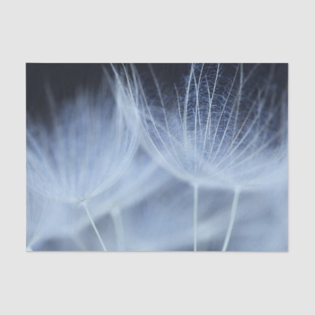 Dandelion Fluff Tissue Paper (Front)