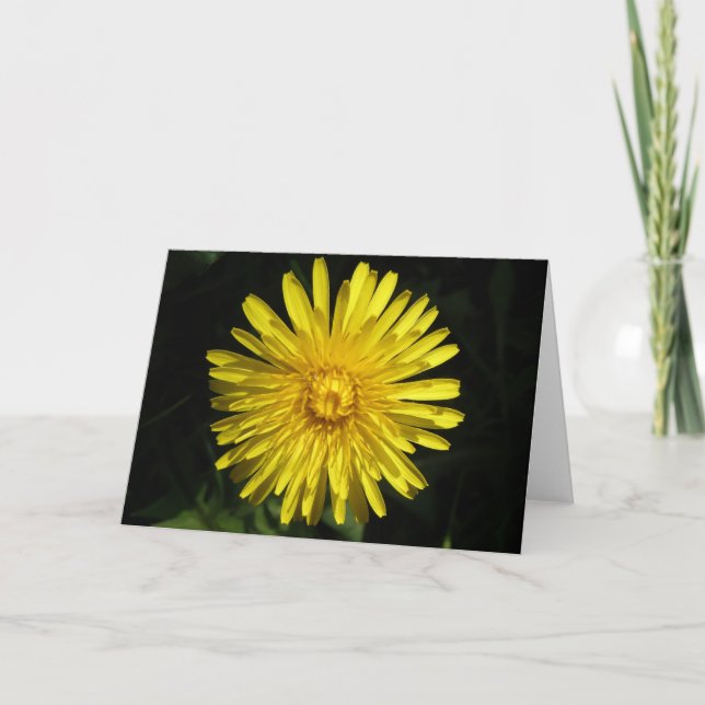 Dandelion Greeting Card (Front)
