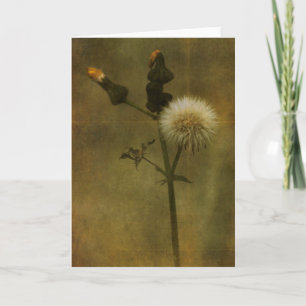 Dandelion Greeting Card
