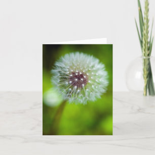 Dandelion Greeting card