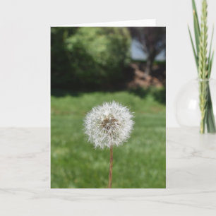 Dandelion Greeting Card