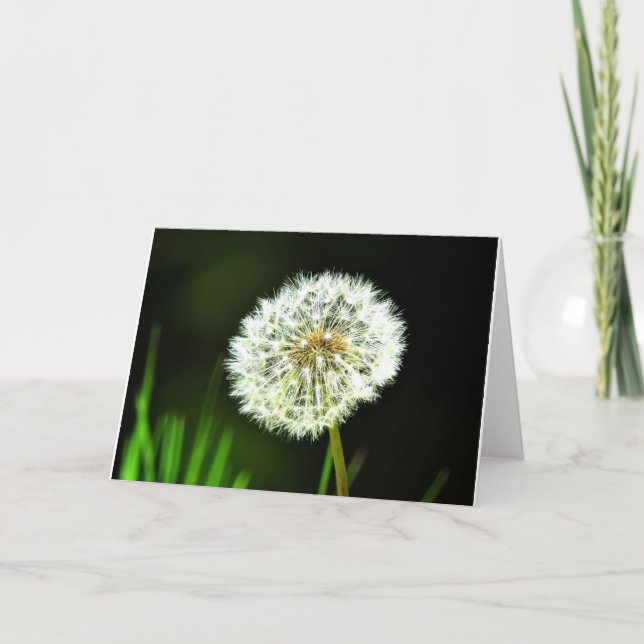 Dandelion Greeting Card, Blank Inside Card (Front)