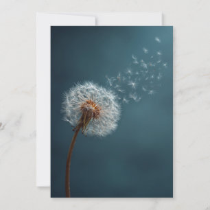 Dandelion Greeting Card on a Blue Background 