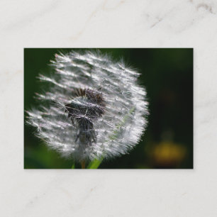 Dandelion Head Seed - Business Card
