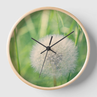 Dandelion in a fairytale clock