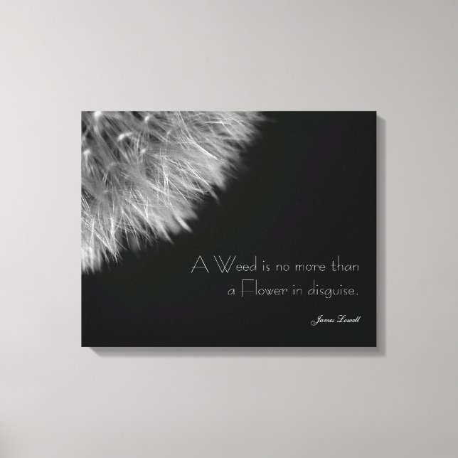 Dandelion in Black & White with Quote Canvas Print (Front)