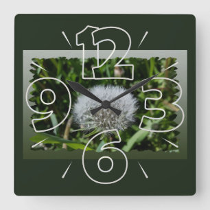 Dandelion in the grass square wall clock
