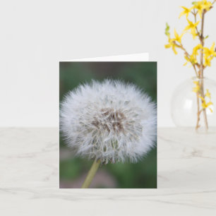 Dandelion Inspirational Note Card