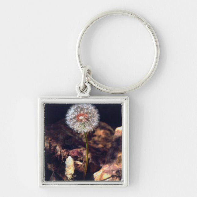 Dandelion Keychain (Front)