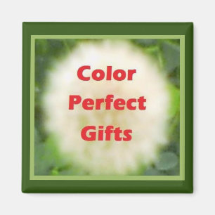 Dandelion Logo Magnet