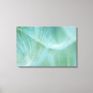 Dandelion macro canvas print