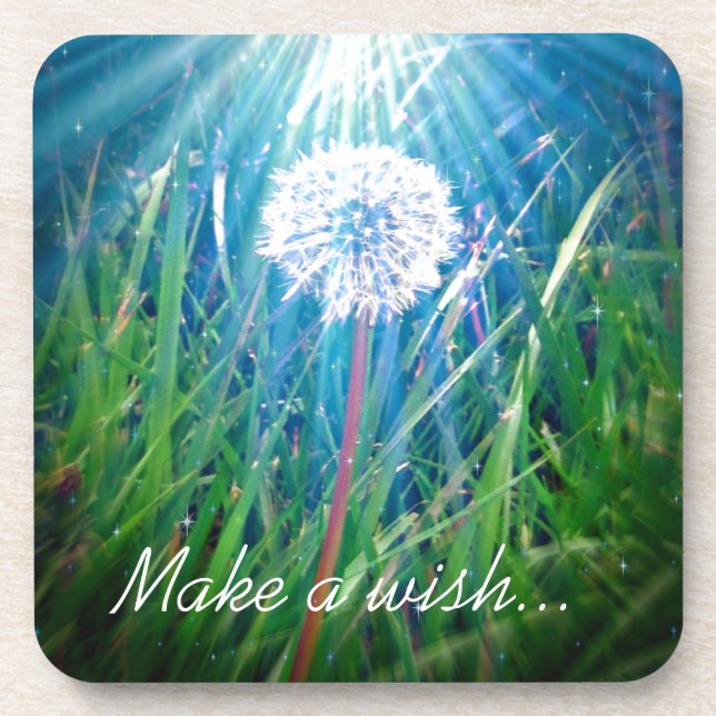 Dandelion Macro Coaster (Front)