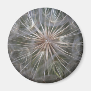Dandelion Magnet