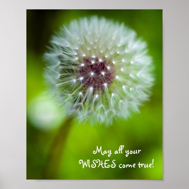 Dandelion "May all your wishes come true!" Poster (Front)