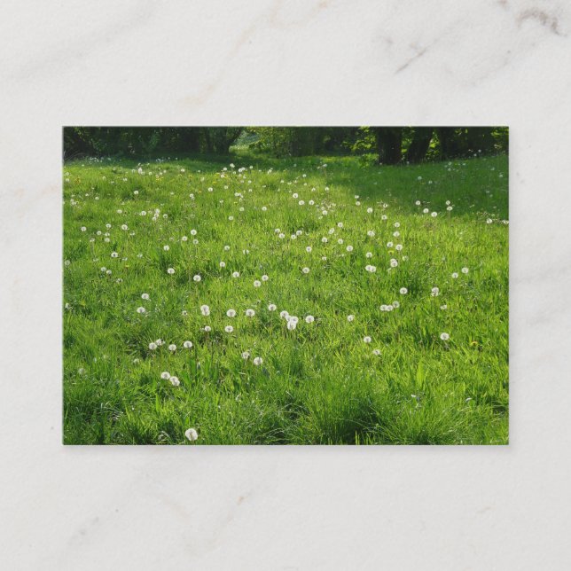 Dandelion Meadow 01 Business Card (Front)