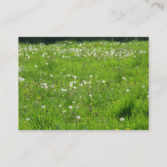 Dandelion Meadow 02 Business Card (Front)