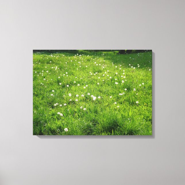 Dandelion Meadow Canvas Print (Front)