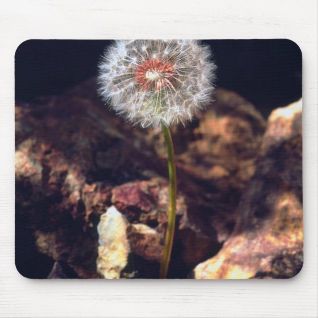 Dandelion Mouse Pad (Front)
