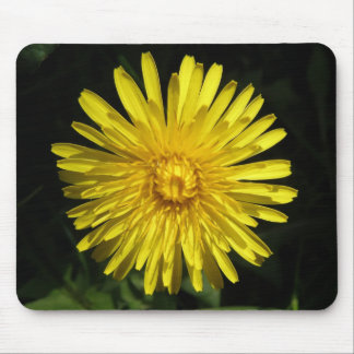 Dandelion Mousepad