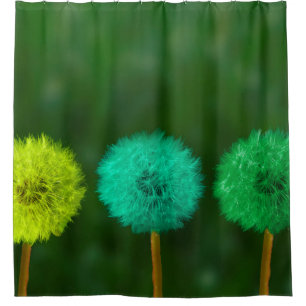 Dandelion multicoloured coloured
