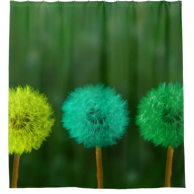 Dandelion multicoloured coloured (Front)