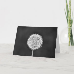 Dandelion - Noir, card
