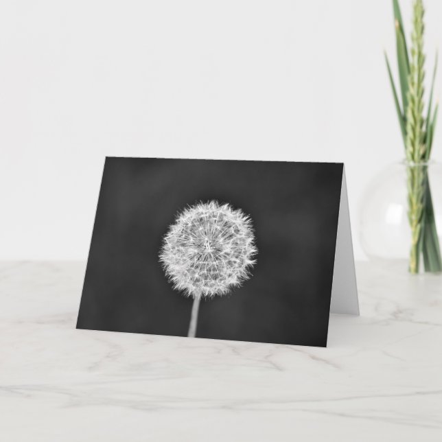 Dandelion - Noir, card (Front)