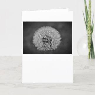 Dandelion - Noir, carte