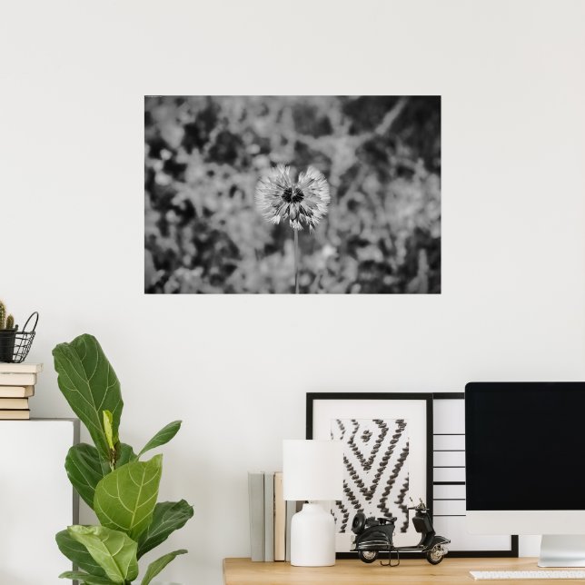 Dandelion - noir, poster (Home Office)