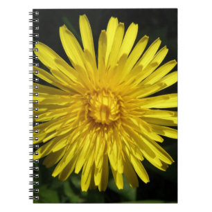 Dandelion Notebook