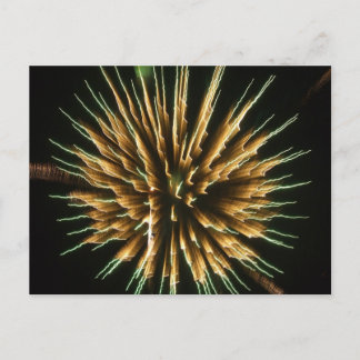 Dandelion on Fire Postcard