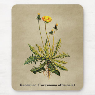Dandelion On Old Paper Mouse Pad