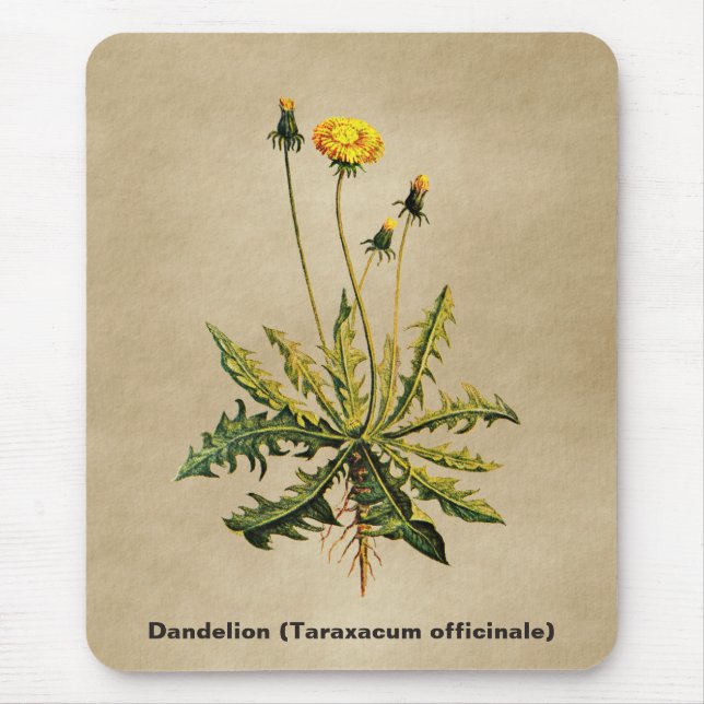 Dandelion On Old Paper Mouse Pad (Front)