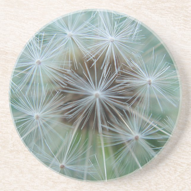 Dandelion pattern coaster (Front)