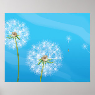 Dandelion Plant Poster