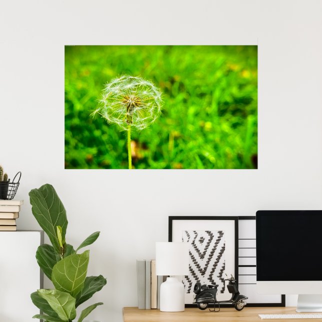 Dandelion,  poster (Home Office)